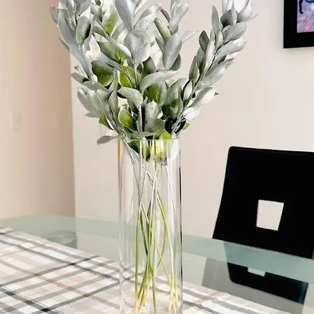 Apartamento Apartamento Deluxe Morros -tolusa 409 Cartagena